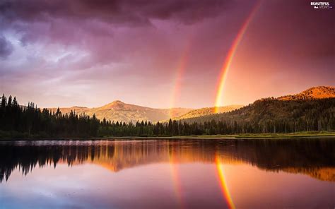 Lake Great Rainbows Forest Forest Mountains Beautiful Views