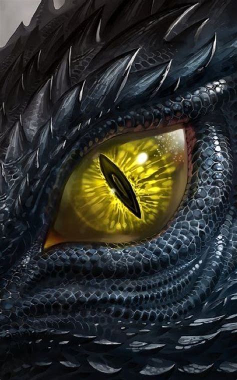 The Eye Of A Dragon With Yellow Eyes