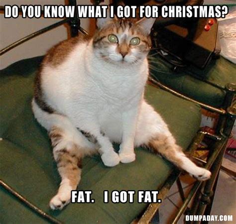 Funny Quotes Fat Cat Dump A Day