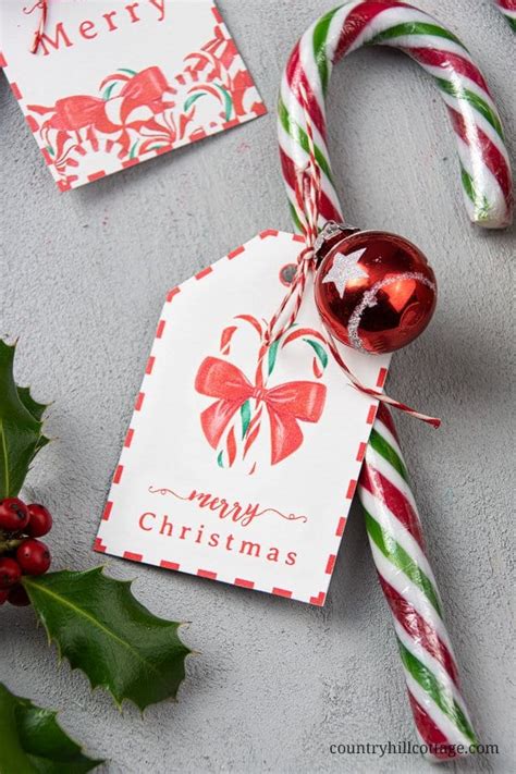 There are so many she is struggling to see where she is going, but she managed. Candy Cane Gift Tags DIY Holiday Gift Tags
