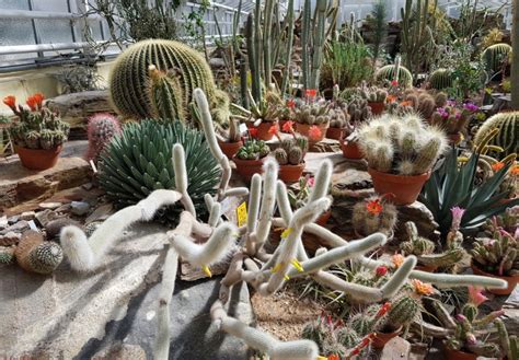 Zunächst befand er sich zwischen dem. Botanischer Garten München-Nymphenburg München - FamiZeit.de