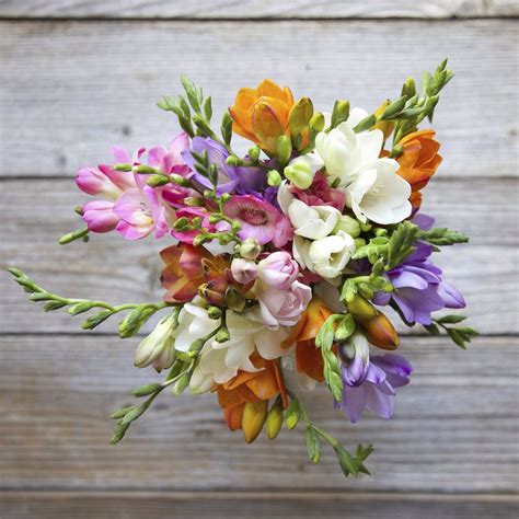 All Freesia Bouquet Flowers Bouquet Flowers Delivered Flower