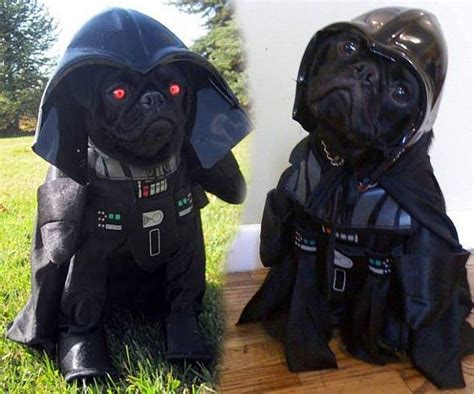 Darth Vader Dog Costume Darth Vader Dog Costume Dog Costume Darth
