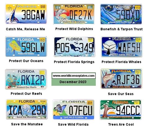 Florida License Plate Designs Ar