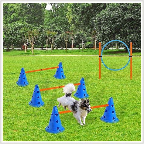 Xiaz Dog Agility Equipments Obstacle Courses Training Starter Kit Pet