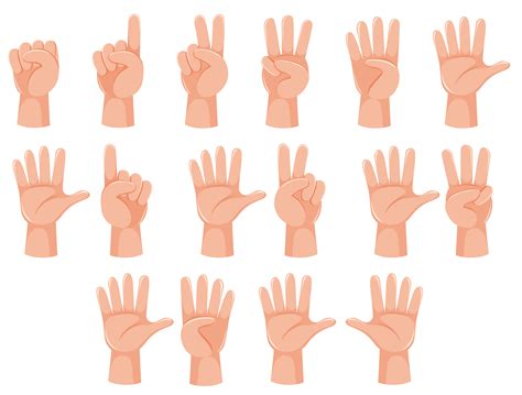 Numbers In Hand Sign Language Isolated On White Vector Image My XXX