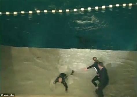 Chilling Video Shows Moment Seaworld Killer Whale Dragged Trainer Under