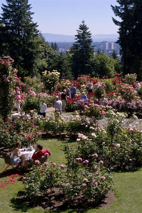 Rose Garden Portland Portland Travel Portland Parks