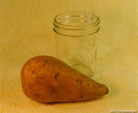 How To Root A Sweet Potato For Garden Planting Or