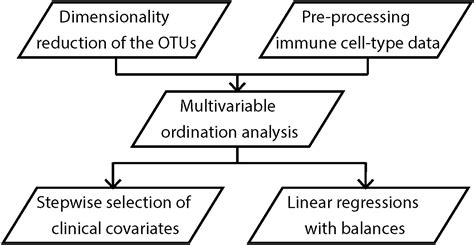 Frontiers Maternal Gut Microbiota During Pregnancy And The