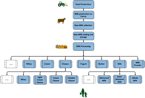 Arious Stages In The Dairy Production Chain From Farm To Fork