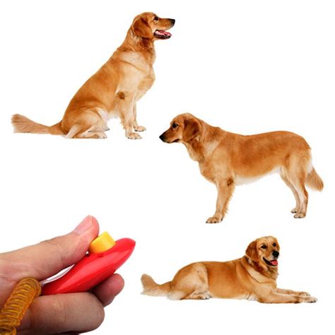 2pcs Lot Hot Sale Dog Pet Click Clicker Training Trainer Aid Wrist