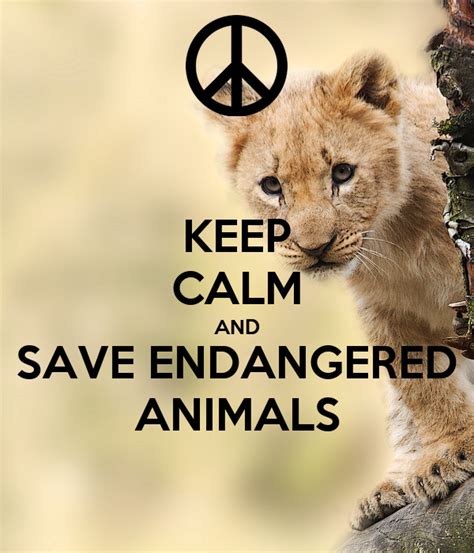 Learn about endangered species in your area. KEEP CALM AND SAVE ENDANGERED ANIMALS Poster | irmztrk07 ...