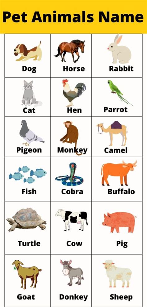 Pet Animals Name English And Hindi With Images Animals Name