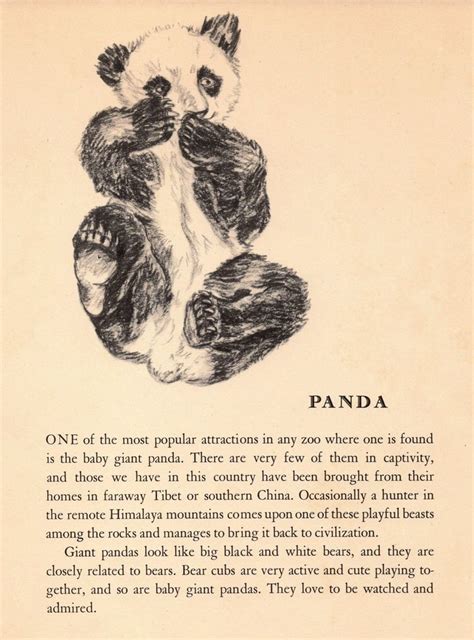 1940s Panda Bear Print Gladys Emerson Cook Panda Bear Art Etsy In