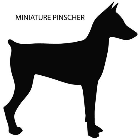 Details About Min Pin Vinyl Decal X2 Miniature Pinscher Sticker Premium
