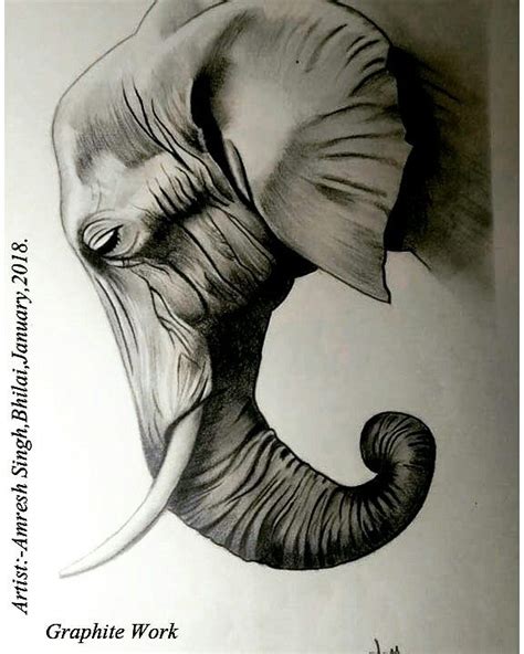 Graphite Pencil Work Elephant Tattoos Animal Drawings Graphite Pencils