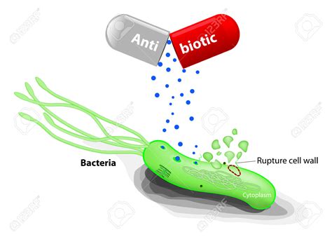 Antibiotics Clipart 20 Free Cliparts Download Images On Clipground 2023