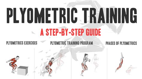Plyometric Training Program A Step By Step Guide