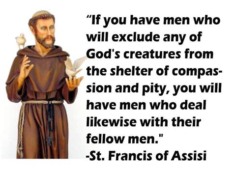 little plant of st francis wisdom of st francis of assisi