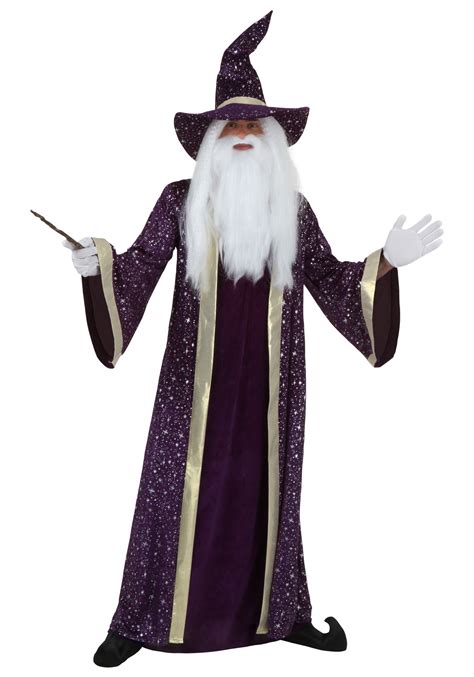 Wizard Plus Size Mens Costume
