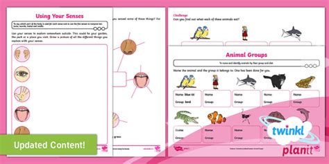 Planit Animals Including Humans Sorting Animals Year 1 Lesson 6