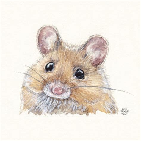 Cute Mouse Watercolor Painting Wildlife By Saylorwolfwatercolor