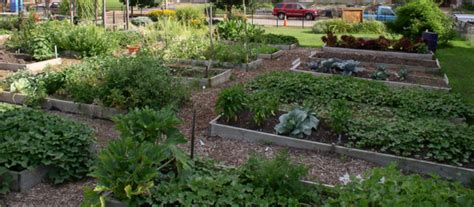 Is Acq Treated Wood Safe For Vegetable Gardens - CaetaNoveloso.com