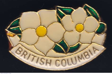 British Columbia Flower Pacific Dogwood Provinces Canada Pin 5181