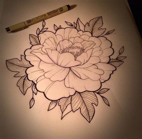 Новости Peony Drawing Tattoos Tattoo Drawings