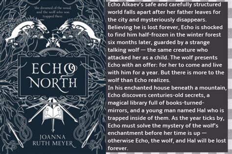 Echo North By Joanna Ruth Meyer Book Review Life And Other Disasters