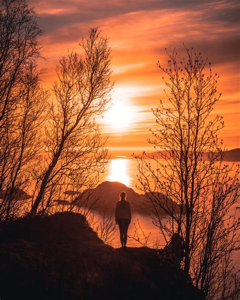 Woman Standing On Cliff Beside Trees During Sunset · Free Stock Photo