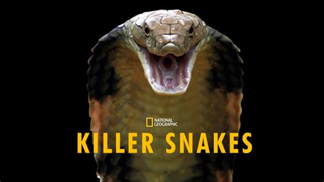 Killer Snakes 2021