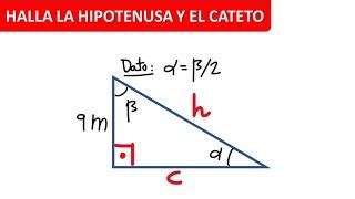 HALLAR LOS CATETOS CONOCEMOS LA HIPOTENUSA Y UN ÁNGULO Trigonometría