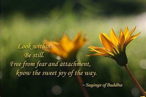 Best attachment quotes selected by thousands of our users! Buddha Quotes On Attachment. QuotesGram
