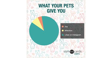 What Your Pet Gives You Charts And Graphs Ecard