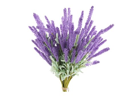 Bouquet Of Purple Lavender Photo Flowers Lavender Lavender Flowers