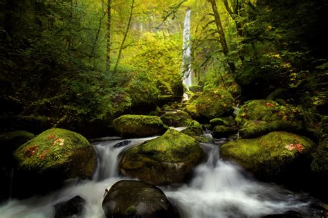 Elowah Falls Columbia River Moss River Forest Wallpapers Hd