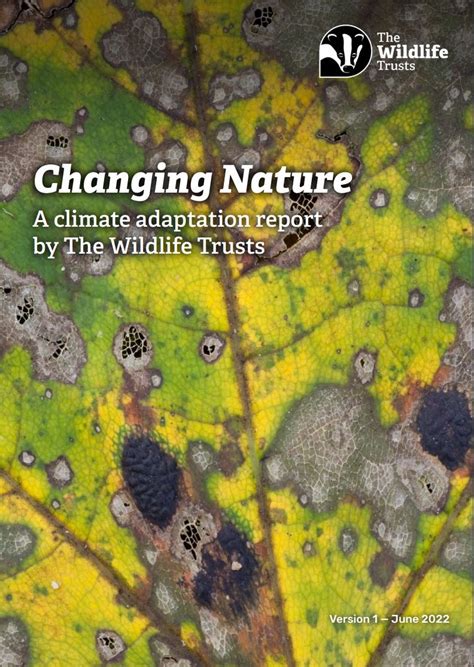 New Report From The Wildlife Trusts Outlines Radical Steps Required To
