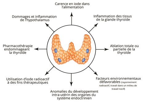 Hyperthyroïdie Et Hypothyroïdie Les Pathologies Fonctionnelles De La Thyroïde Omn Univ Europ