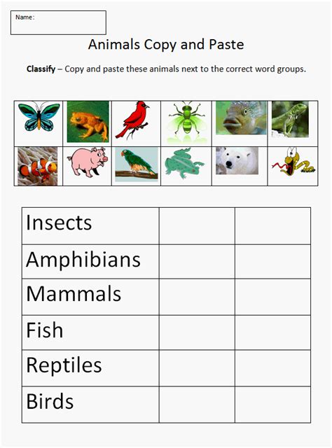 Classification Of Living Things For Kids Worksheet