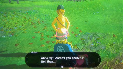 Most People Call Me Hung But Whatever Botw Gaymers