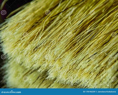 Detail Photo Of Paint Brush Bristles Stock Image Image Of Colorful