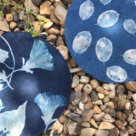 Cyanotype A Beginners Guide To Making Beautiful Blue Prints