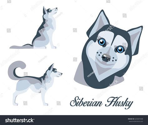 Illustration Siberian Husky Standing Sitting Position Stock Vector