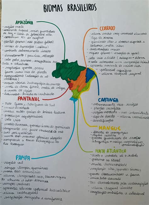 Mapa Mental Biomas Brasileiros Geografia