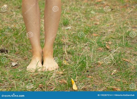 Girls Bare Feet On The Grass In Summer In The Park Part Of The Body