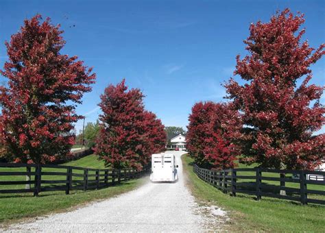Summit Musings Friday Fences Fall On A Kentucky Horse Farm