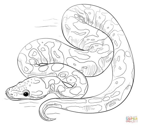 Python Coloring Pages Download And Print For Free