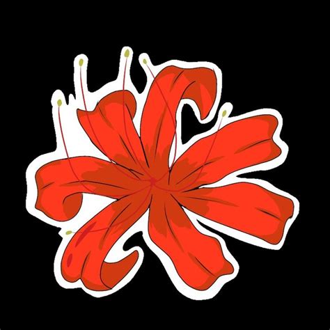 Easy Red Spider Lily Drawing Tutorial For Beginners